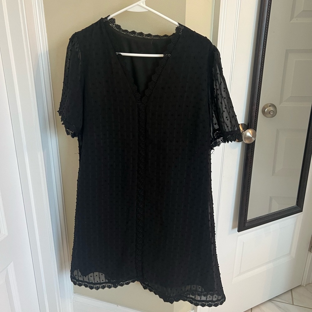 Elegant Black Sheer Dress
